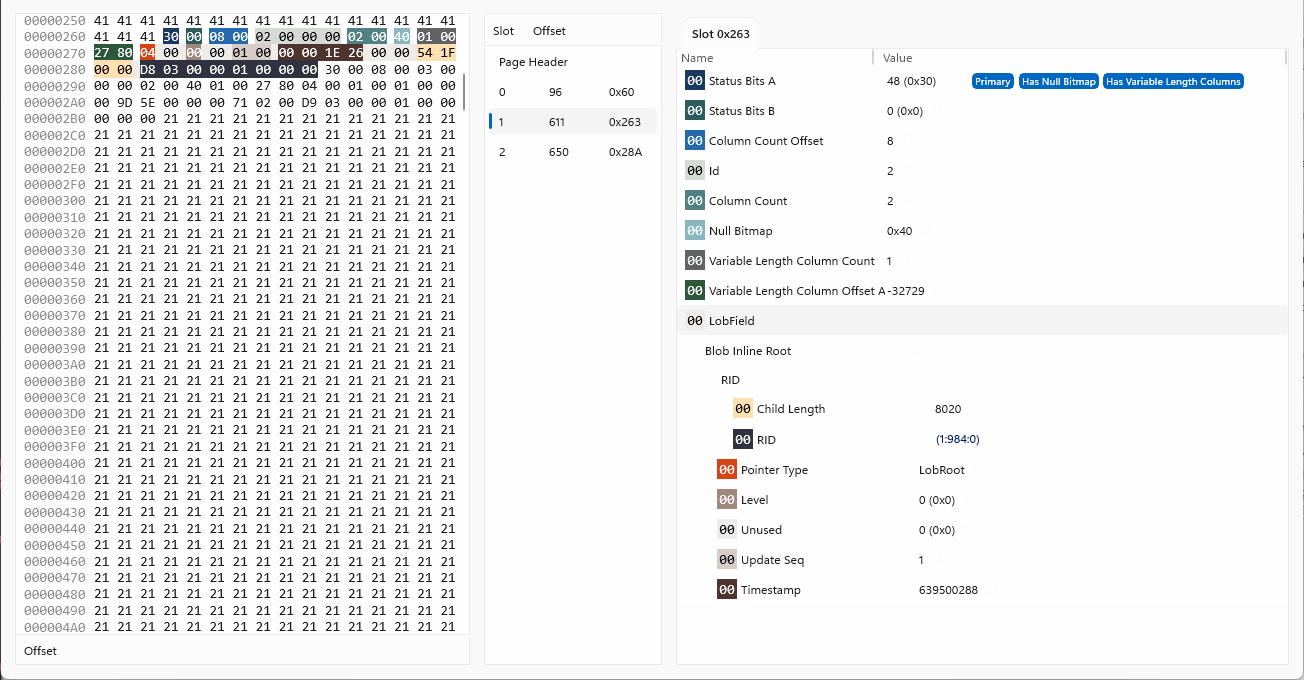 LOB pointer in the data record