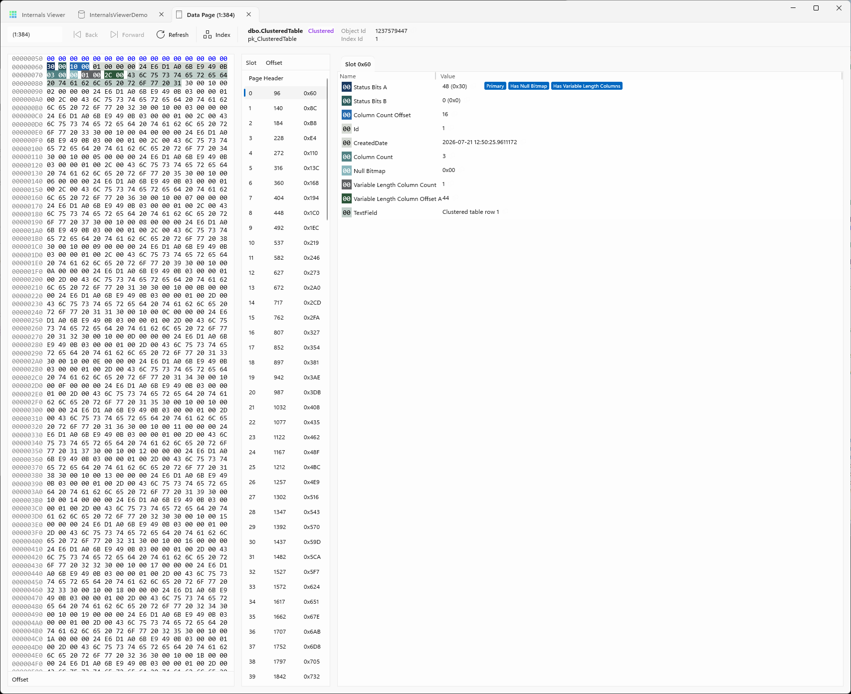 Page Viewer with a record slot selected